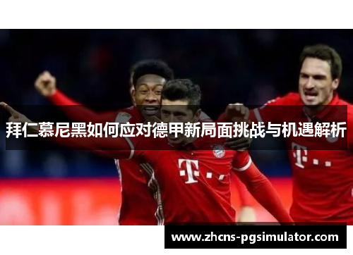 拜仁慕尼黑如何应对德甲新局面挑战与机遇解析