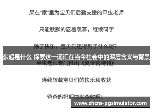东超是什么 探索这一词汇在当今社会中的深层含义与背景