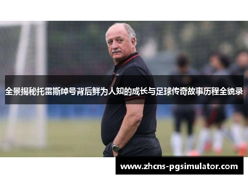 全景揭秘托雷斯绰号背后鲜为人知的成长与足球传奇故事历程全貌录