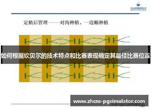 如何根据坎贝尔的技术特点和比赛表现确定其最佳比赛位置 如何根据坎贝尔的技术特点和比赛表现确定其最佳比赛位置