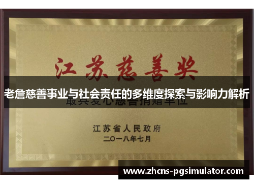 老詹慈善事业与社会责任的多维度探索与影响力解析
